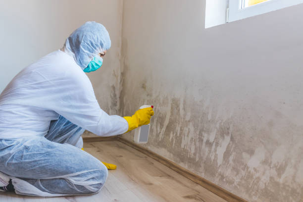 Licensed Crawl Space Mold Removal service in Moonachie, NJ - WQB Mold Removal