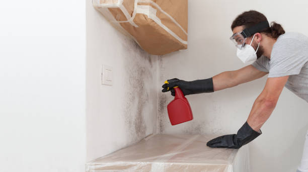Professional Crawl Space Mold Removal technician working in Moonachie, NJ
