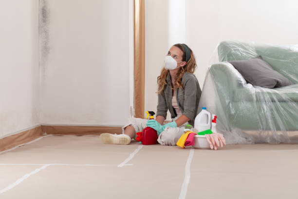 Reliable Crawl Space Mold Removal contractor in Moonachie, NJ by WQB Mold Removal